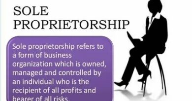 Sole proprietorship business examples