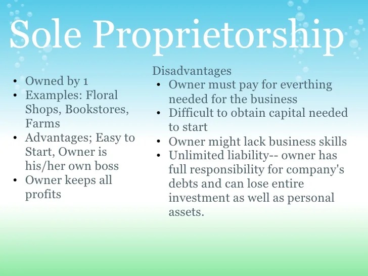 Sole proprietorship business examples